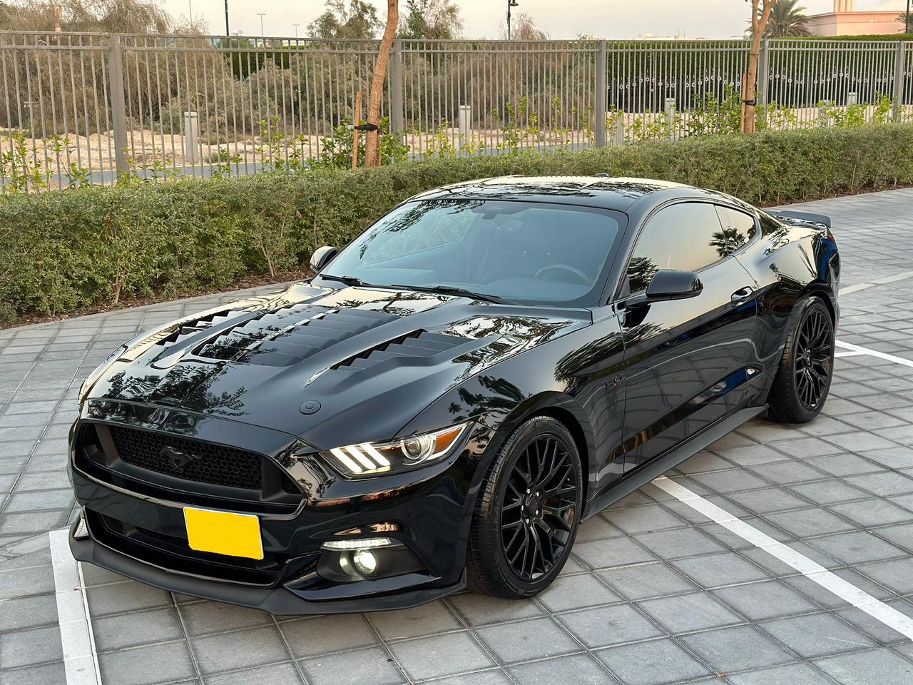 Ford Mustang GT Performance 2017