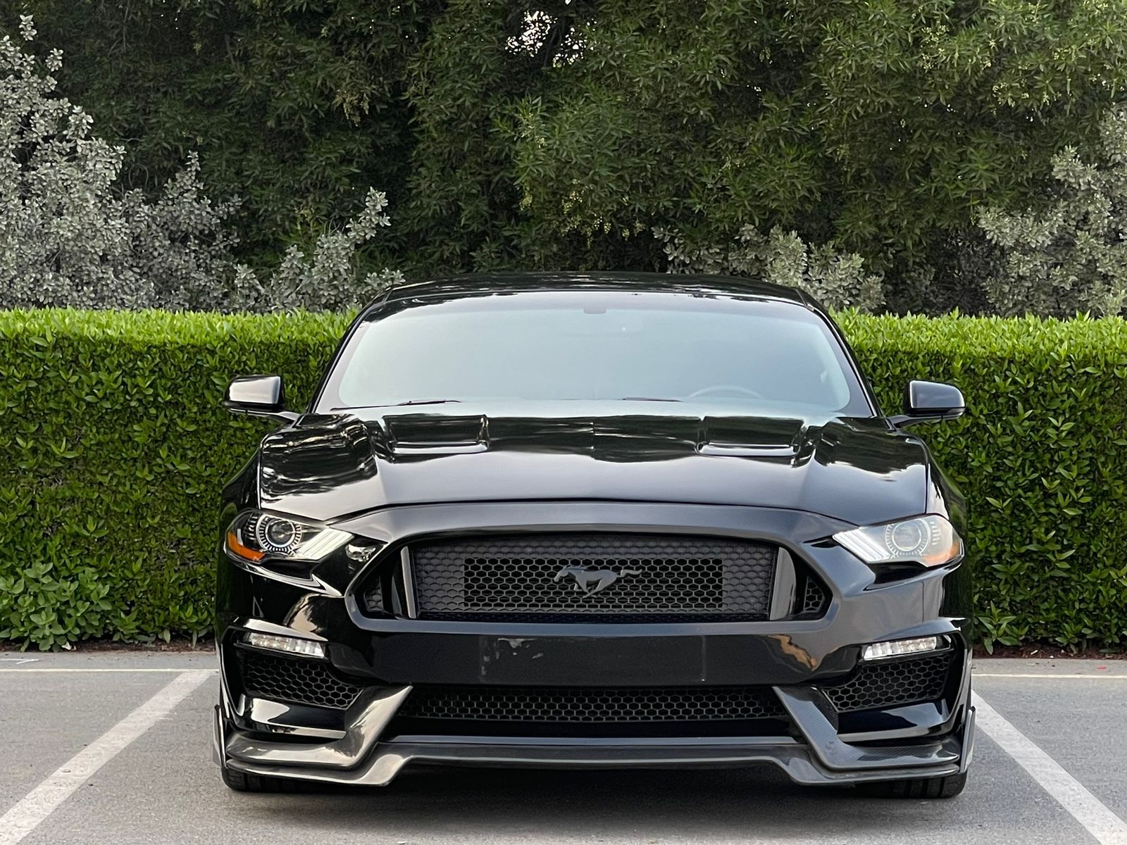 Ford Mustang GT Performance 2017